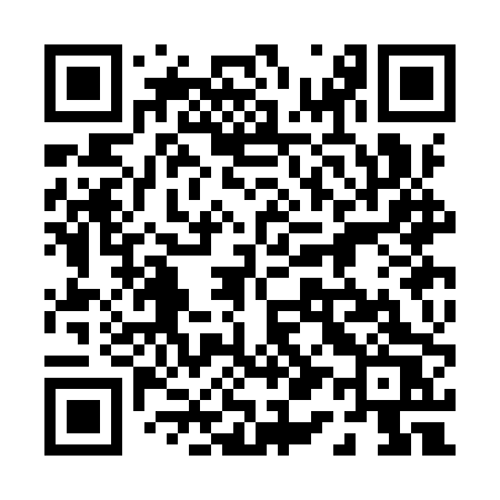 QR code for 013IPS