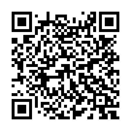 QR code for 013NPC