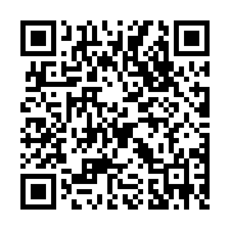 QR code for 017PIO