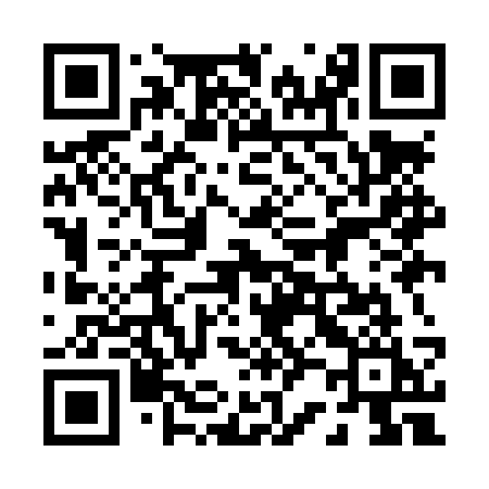 QR code for 029LSI