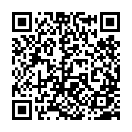 QR code for 038DLP