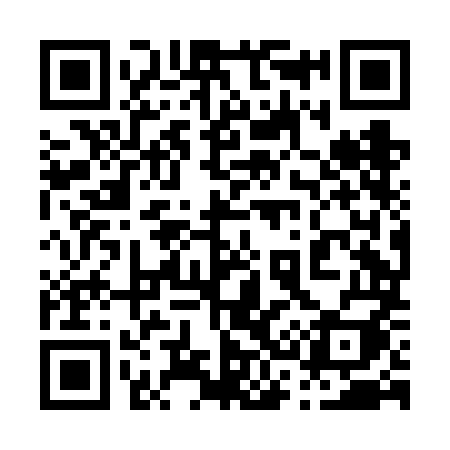 QR code for 038FMI