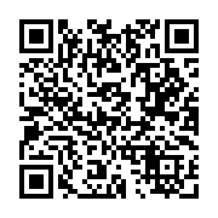 QR code for 038MIC