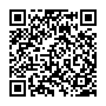 QR code for 040IIP