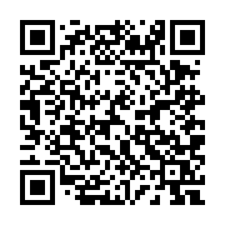 QR code for 066DMS