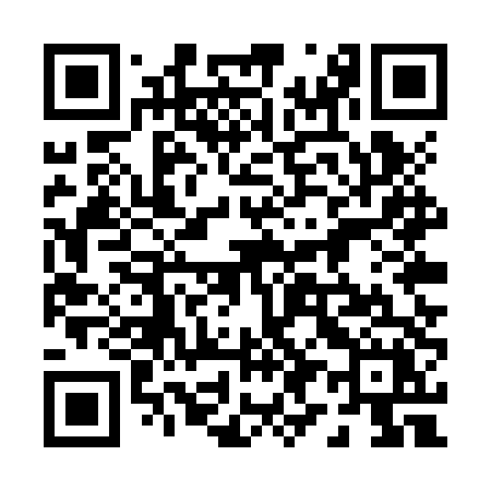 QR code for 095ZTX
