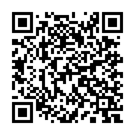 QR code for 100DLQ