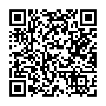 QR code for 101NFS