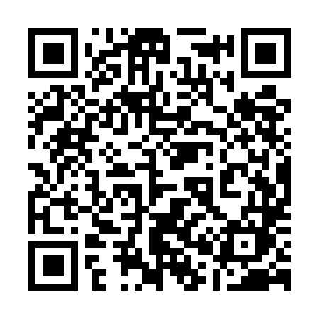 QR code for 101ULM
