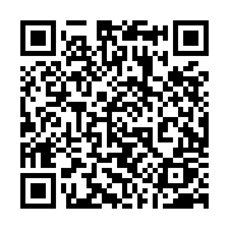 QR code for 110MOP