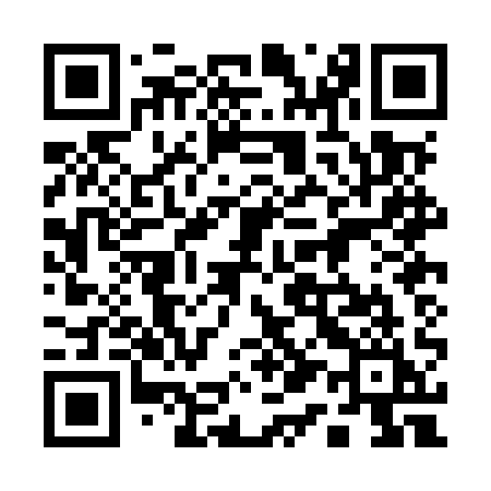 QR code for 110MQI