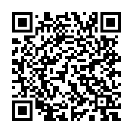 QR code for 111MZS