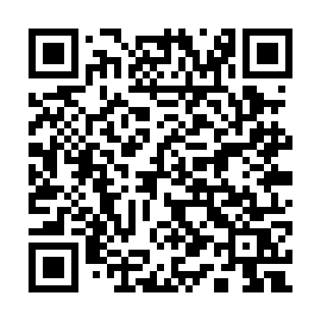 QR code for 111POS