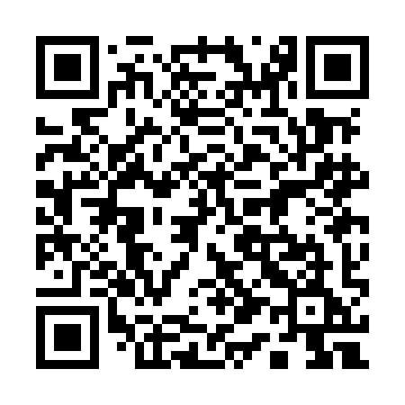 QR code for 113MIE