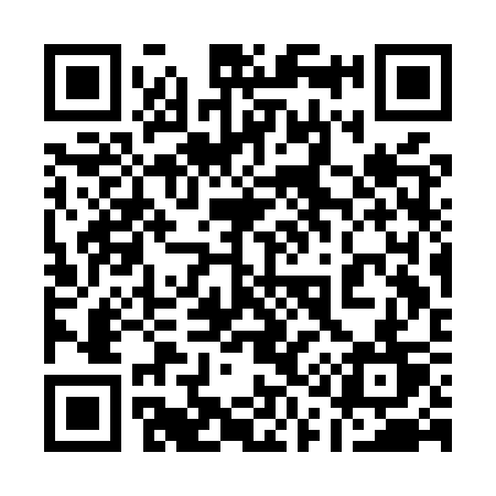 QR code for 113MST