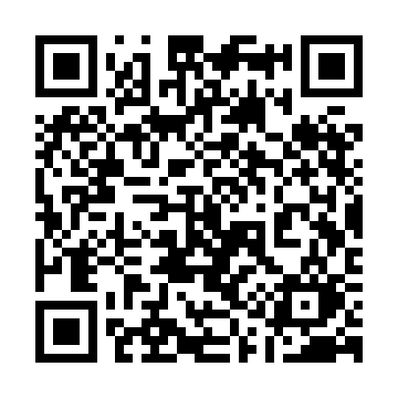 QR code for 113XCO