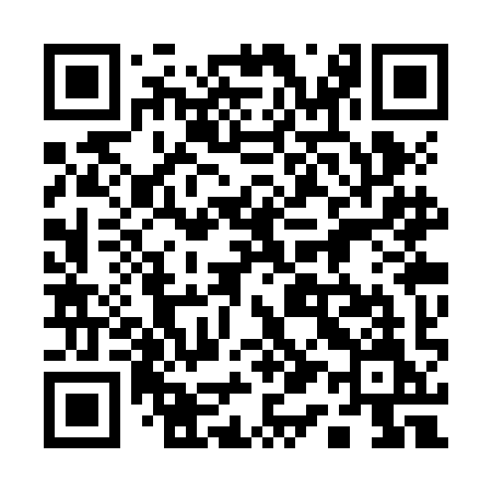 QR code for 113ZIM