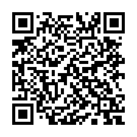 QR code for 119DSS