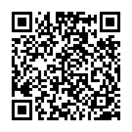 QR code for 119NIS