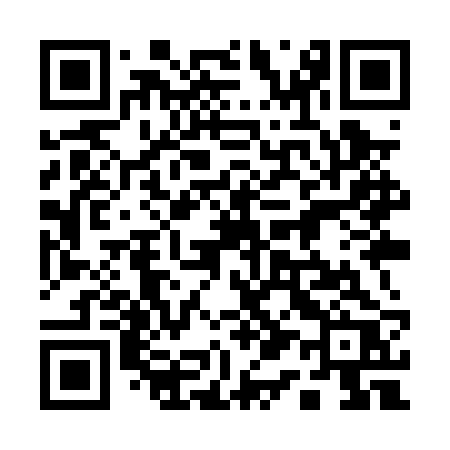 QR code for 119PRR