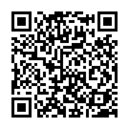 QR code for 125LSI