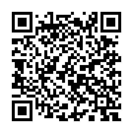 QR code for 133DLI