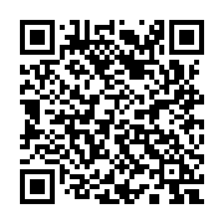 QR code for 133IPI