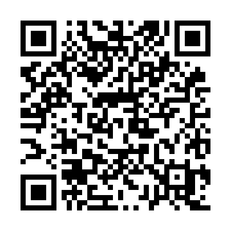 QR code for 133OHI