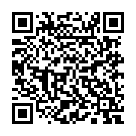 QR code for 141MIS