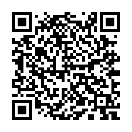 QR code for 155PIP