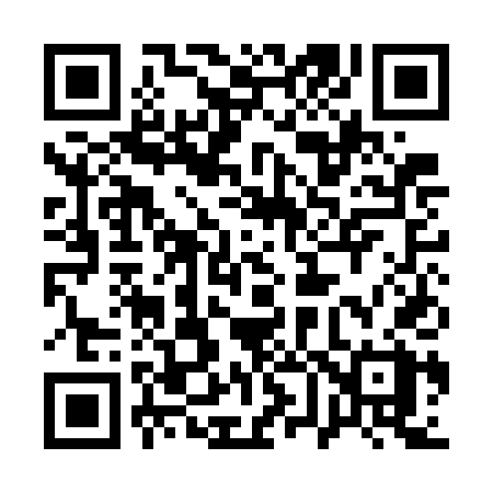 QR code for 161GDX