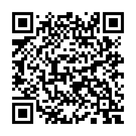 QR code for 161JAK