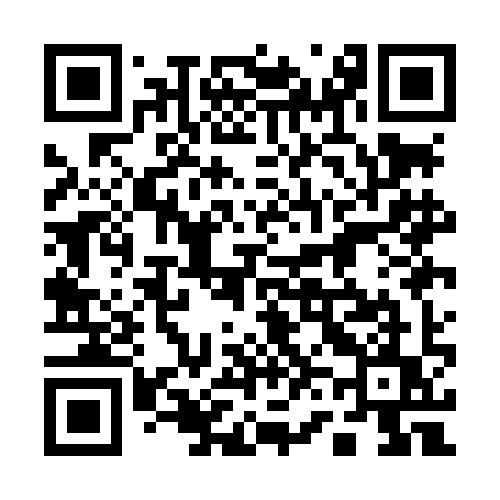 QR code for 161LIU
