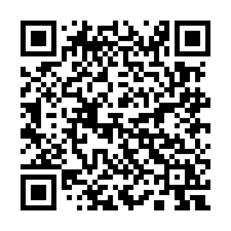 QR code for 161MEX