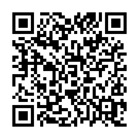 QR code for 161MIG