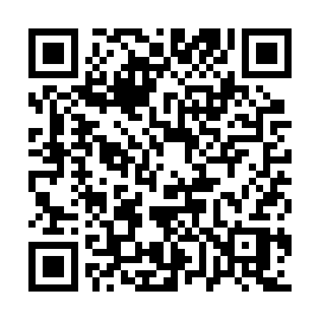 QR code for 161RSR
