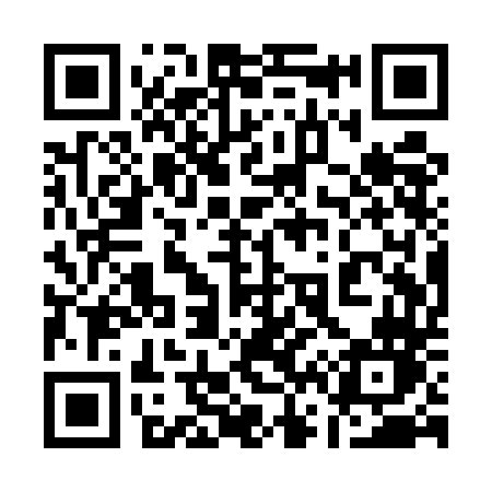 QR code for 161UDN