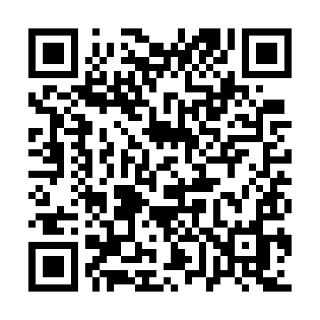 QR code for 161WYO