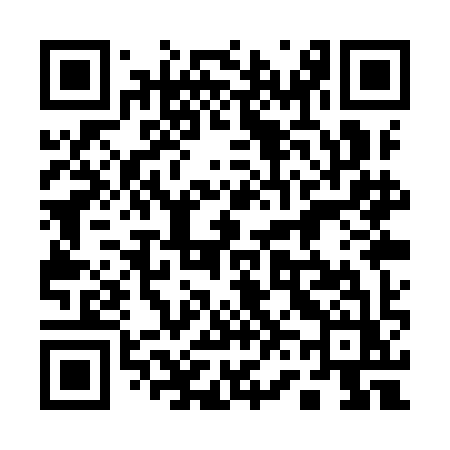QR code for 161YIZ