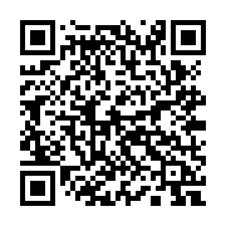 QR code for 161ZMB
