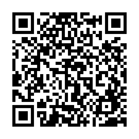 QR code for 173MEF