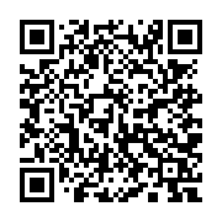 QR code for 196NLR