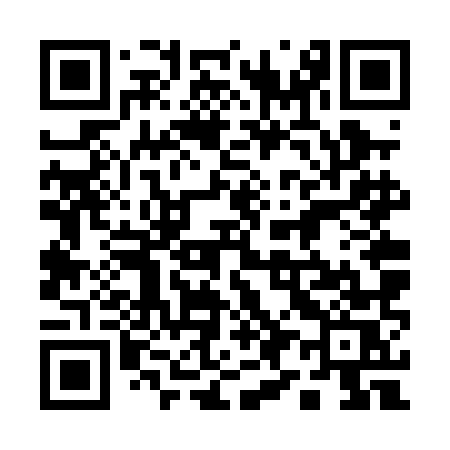QR code for 196PMS