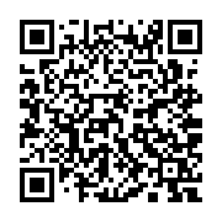 QR code for 196QMS