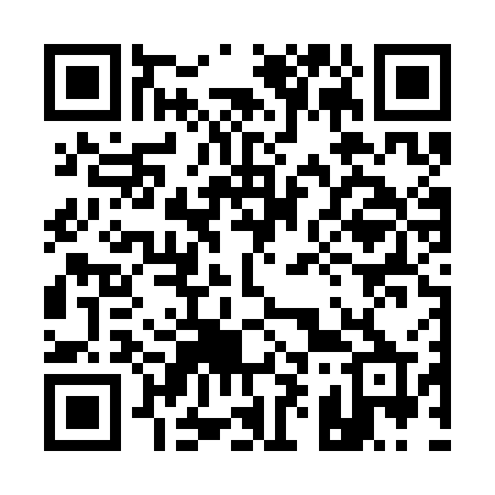 QR code for 196SGP