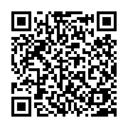 QR code for 206TSE