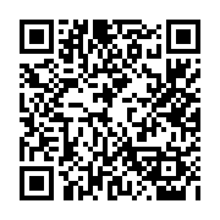 QR code for 207DSS