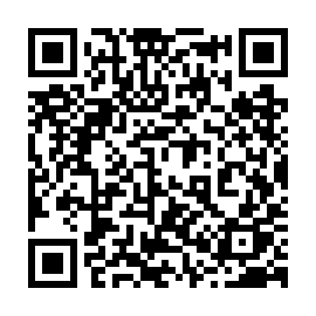 QR code for 207WIP