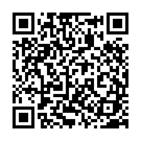 QR code for 208HDI