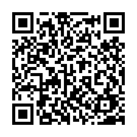 QR code for 209DSD